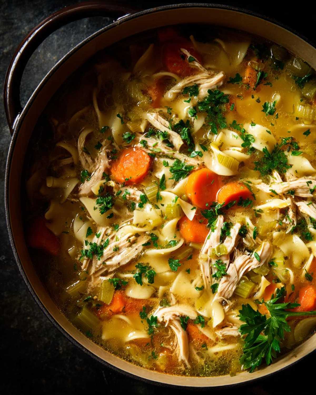 Overhead view of rich, homemade chicken noodle soup with shredded chicken, carrots, and parsley in a dark pot.