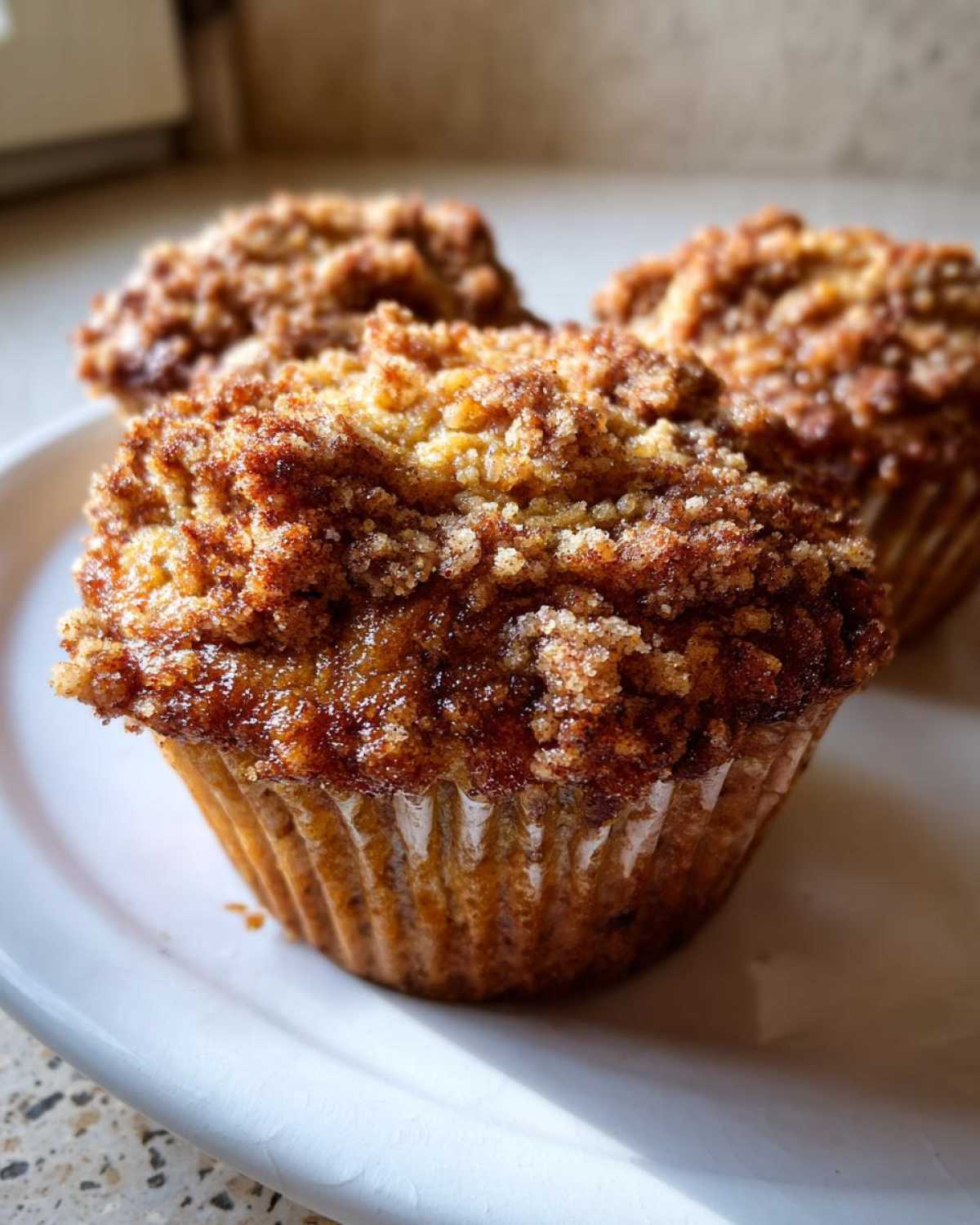 A close-up of a freshly baked oatmeal muffin featuring a thick, sugary cinnamon streusel topping.