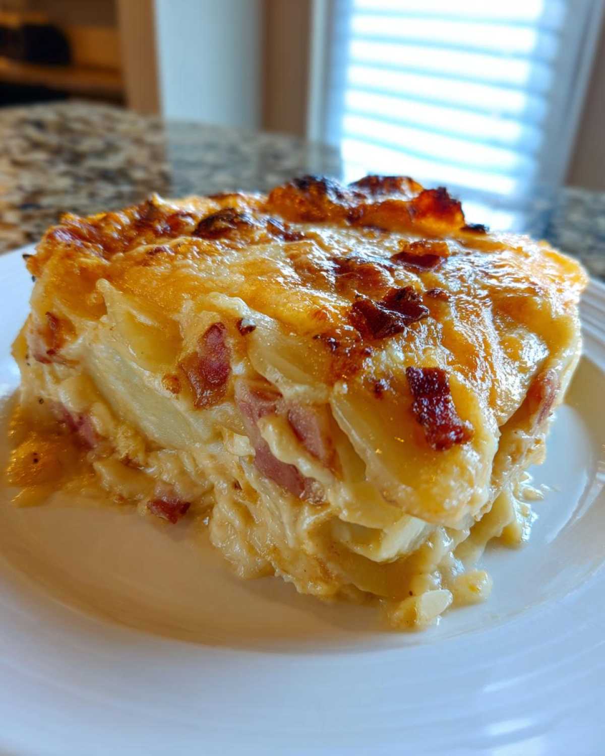 A thick, cheesy slice of scalloped potatoes and ham with a golden-brown, bubbly top.