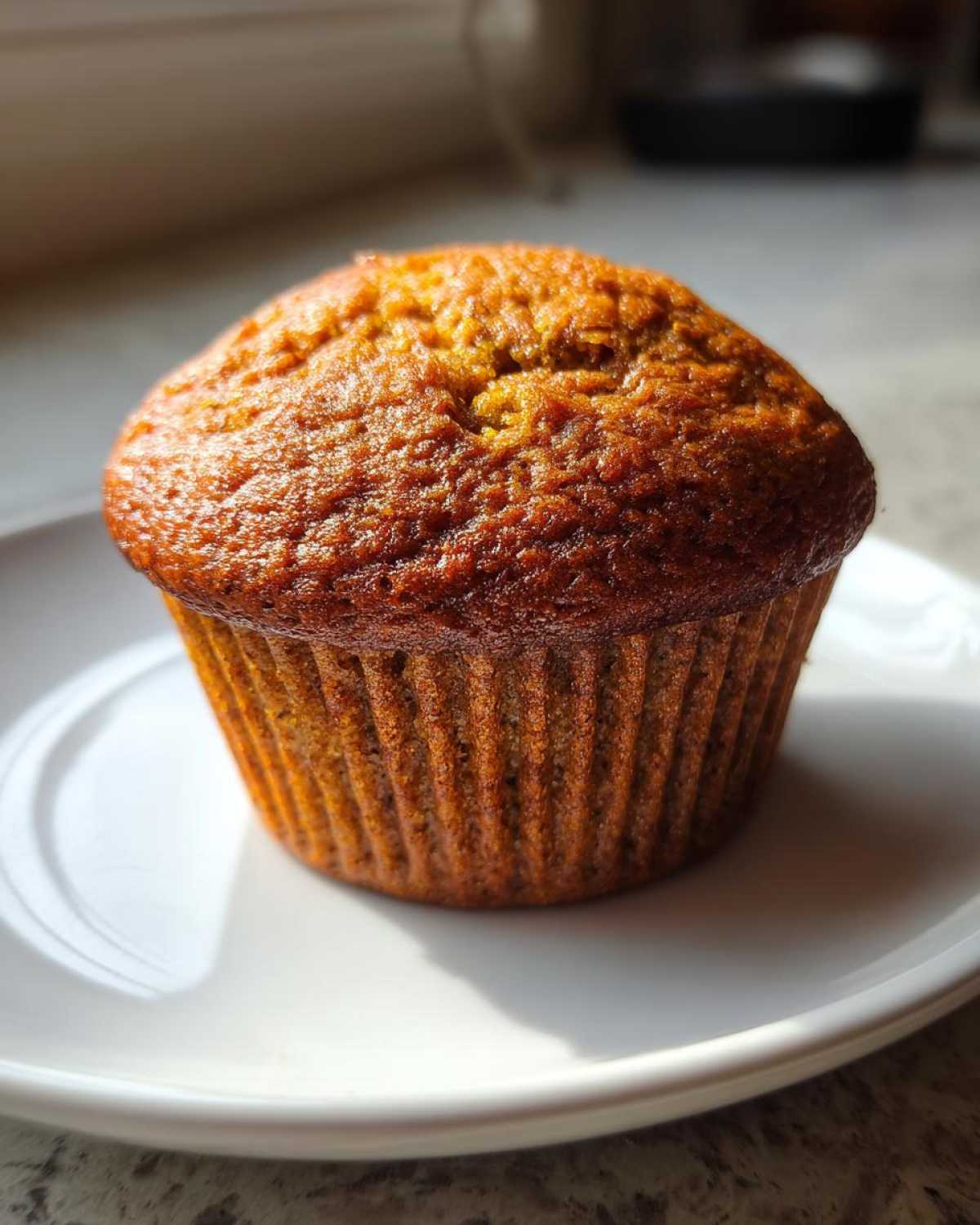 A single, golden-brown honey bran muffin sitting on a white plate, highlighted by natural sunlight.