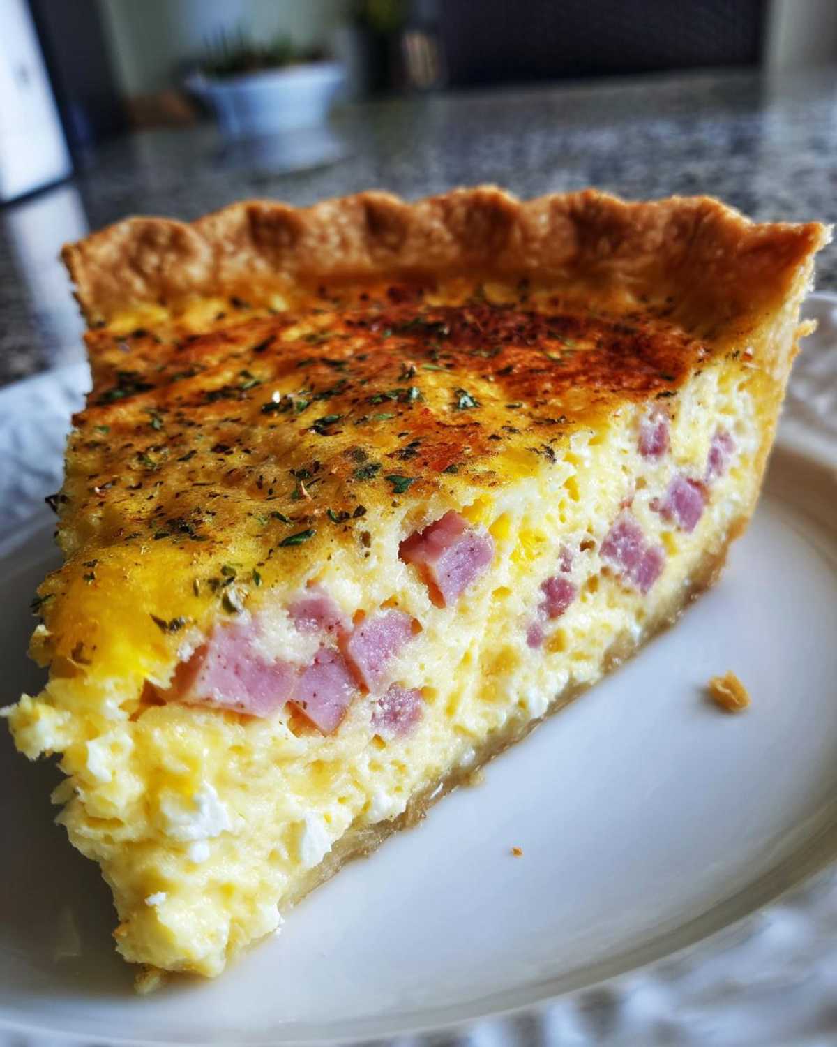 A close-up of a perfect slice of ham and cheese quiche showing the fluffy egg filling and diced ham.