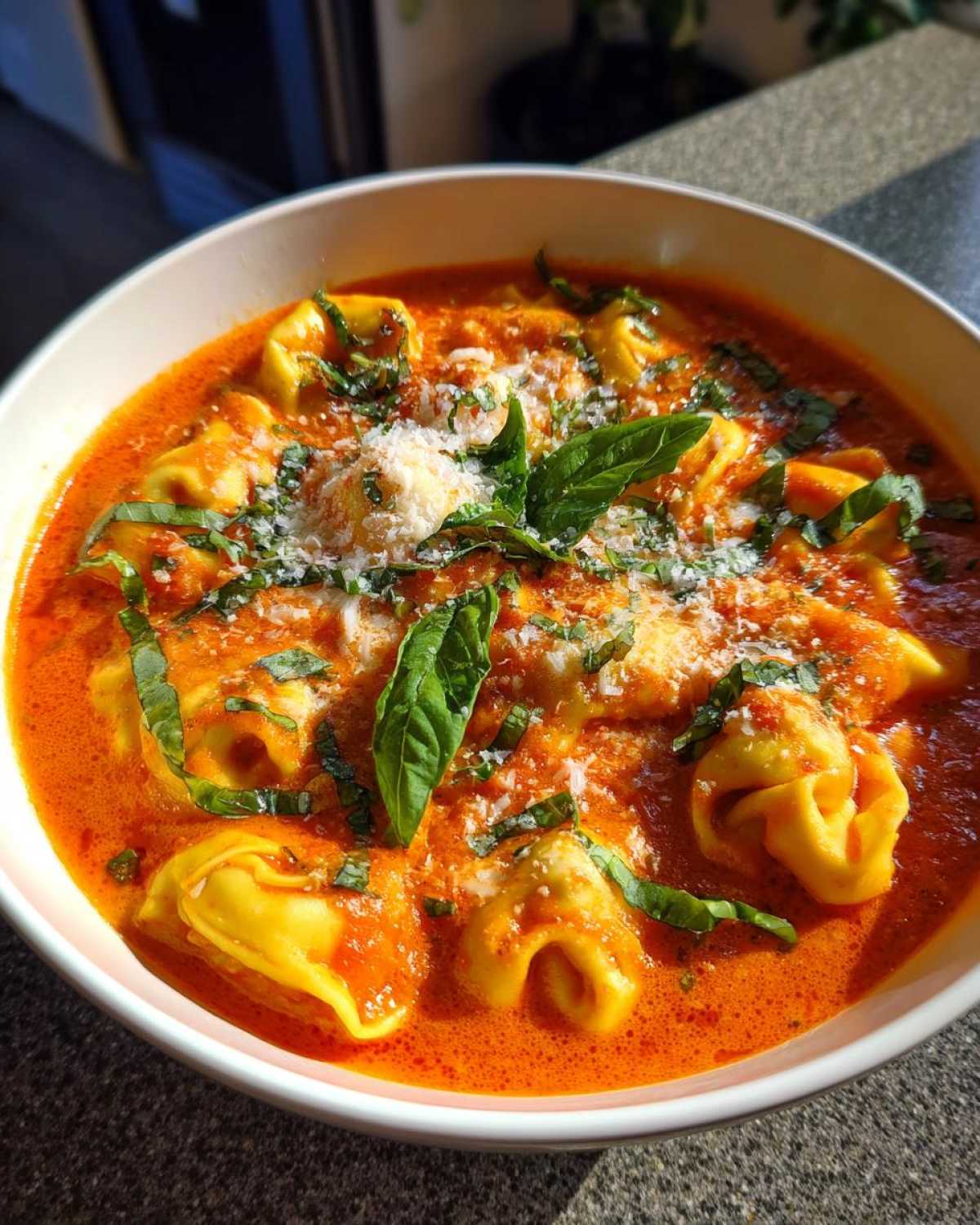 Close-up of a white bowl filled with Creamy Tomato Tortellini Soup, topped with Parmesan and fresh basil.