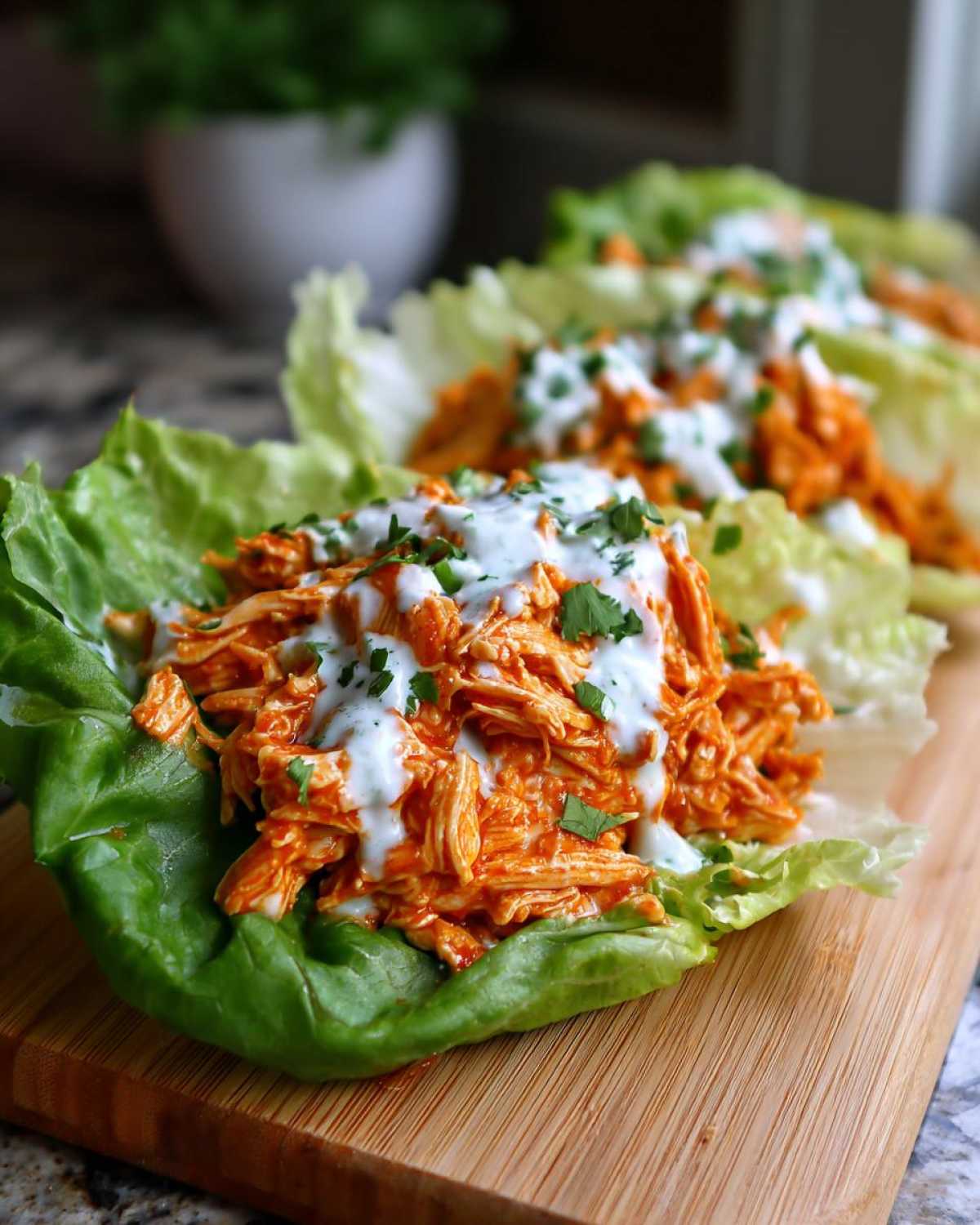Close-up of Keto Buffalo Chicken Lettuce Wraps filled with shredded buffalo chicken and drizzled with ranch dressing.