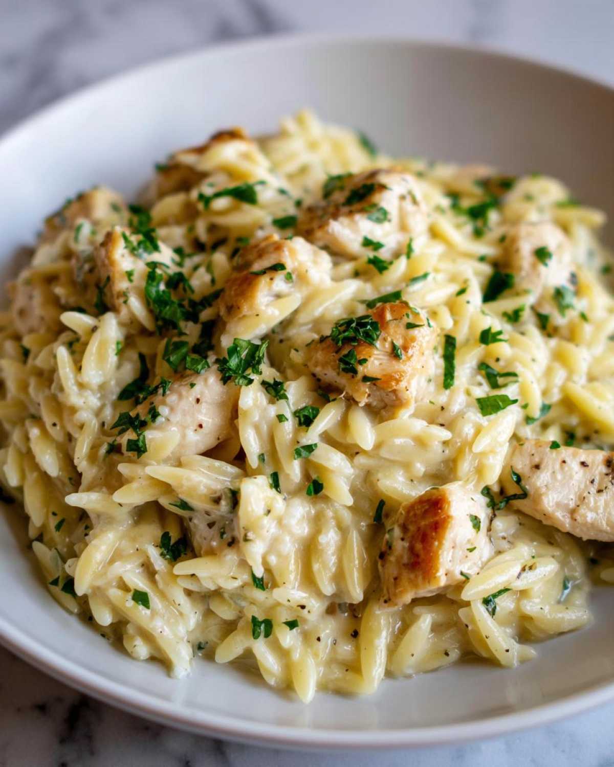 A close-up of a bowl filled with Creamy Garlic Parmesan Orzo with Chicken, topped with fresh parsley.