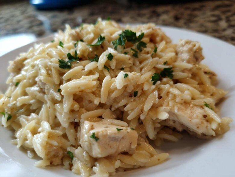 Close-up of a serving of Creamy Garlic Parmesan Orzo with Chicken, garnished with parsley.